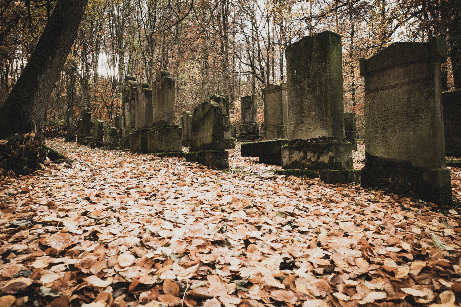 Dransfeld, Jüdischer Friedhof